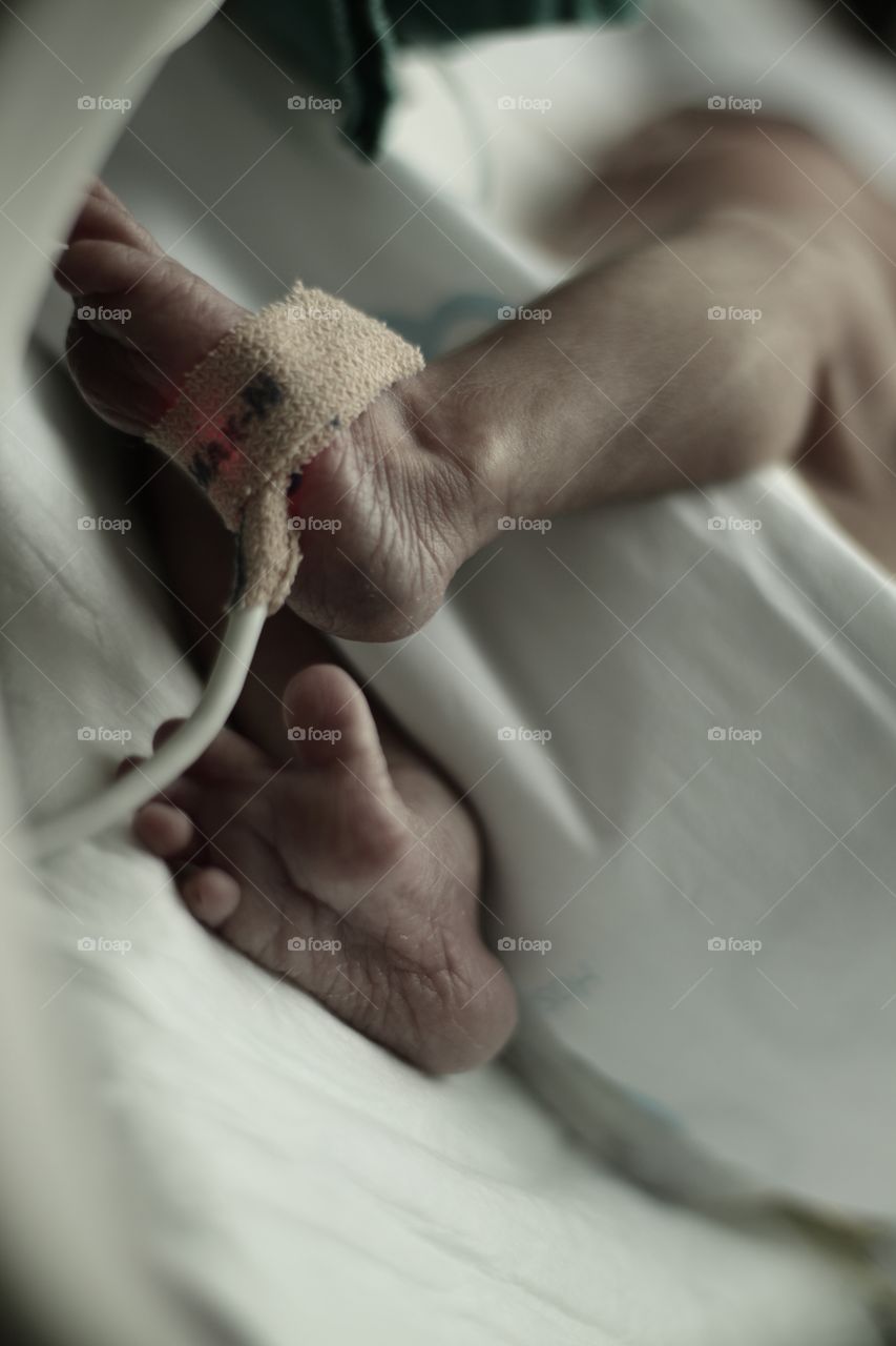 Close up of newborn baby feet with a hospital tag