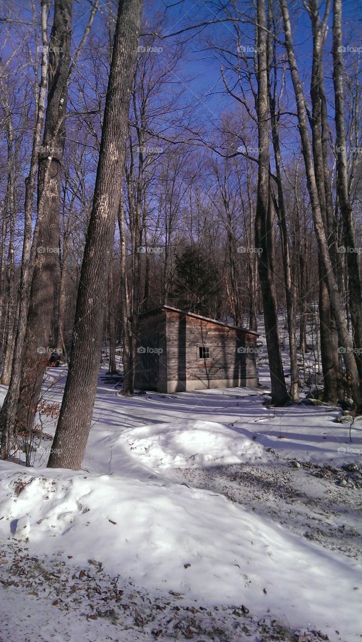 Vermont cabin
