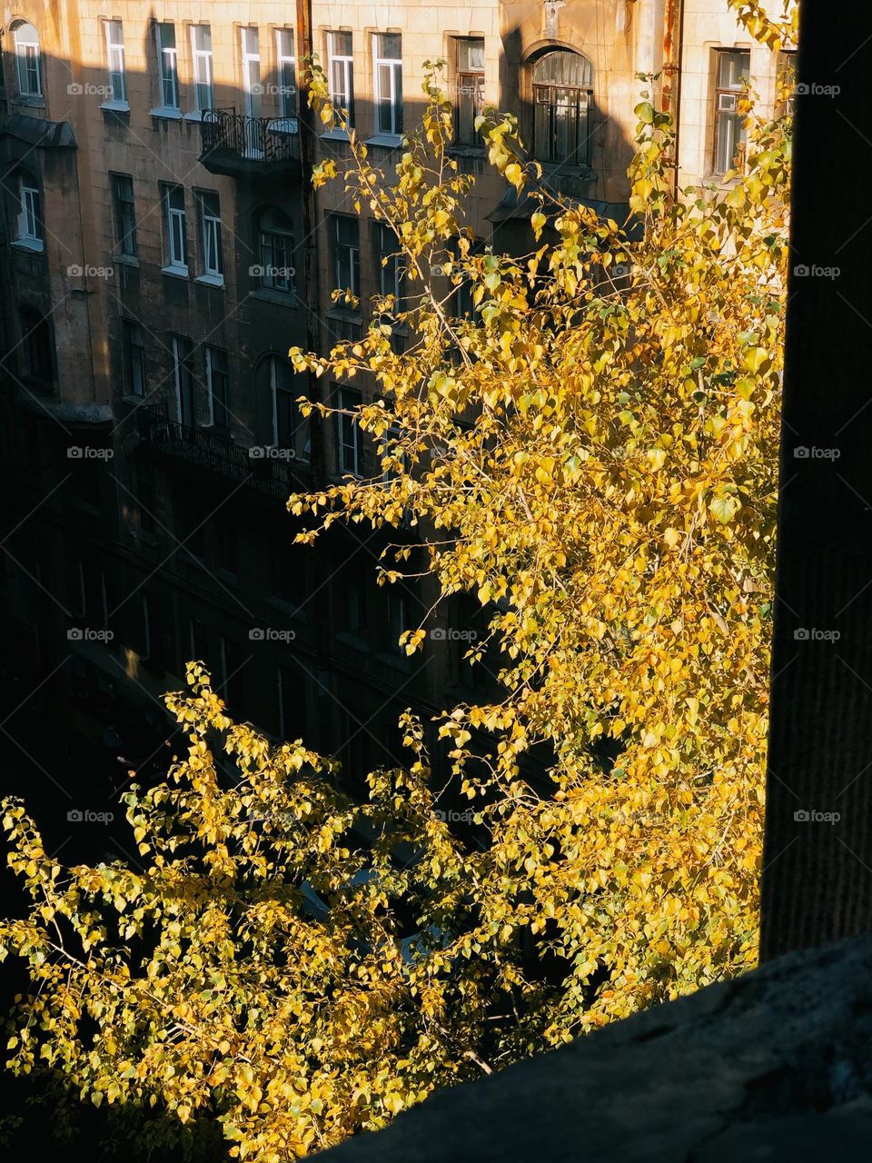 Beautiful view on the window in sunny autumn day 