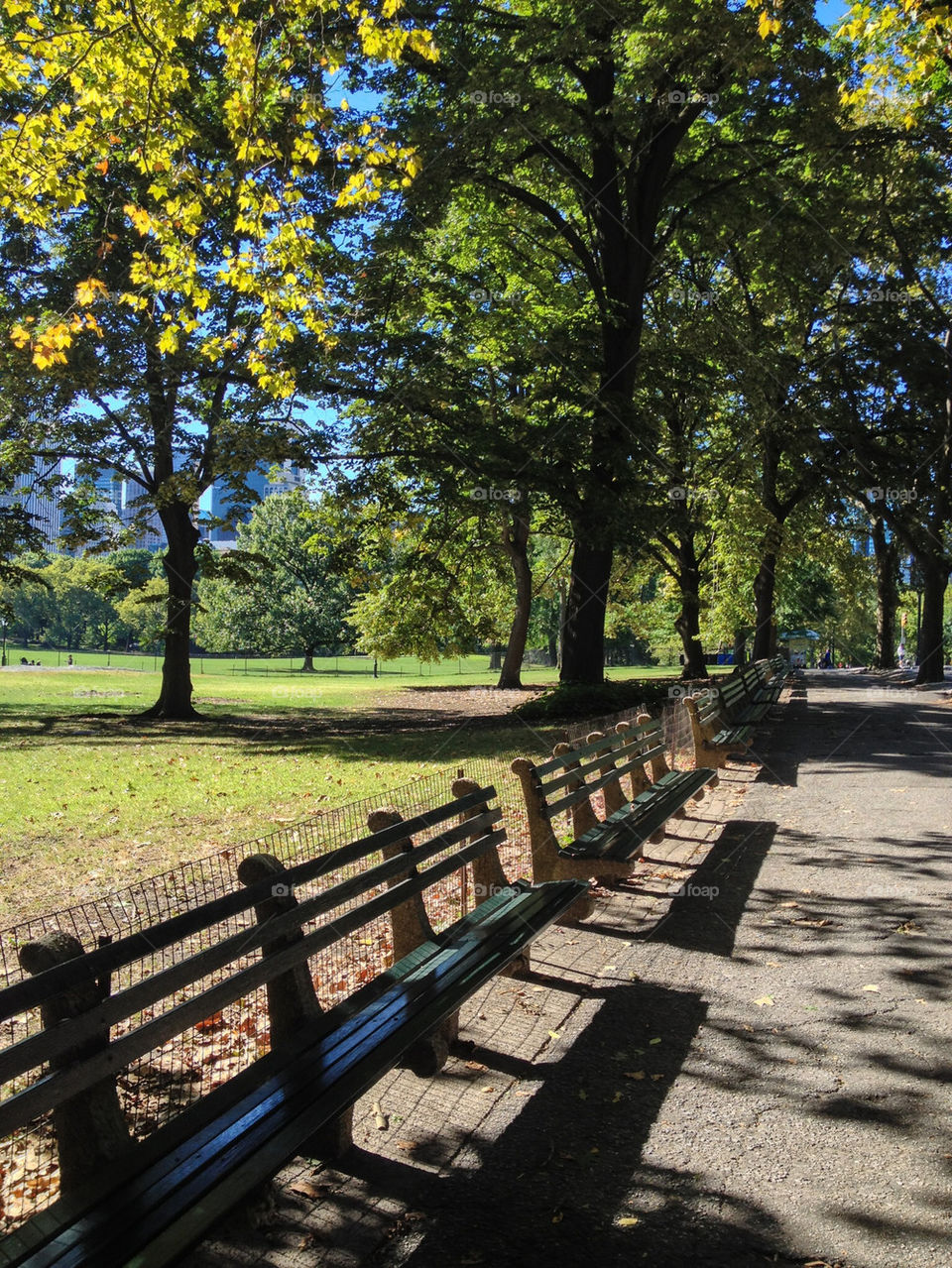 Path on Central Park