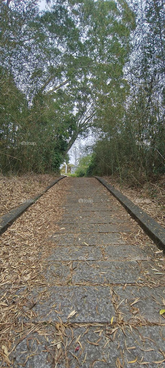 Landscape of Sige Mountain in Taitung County