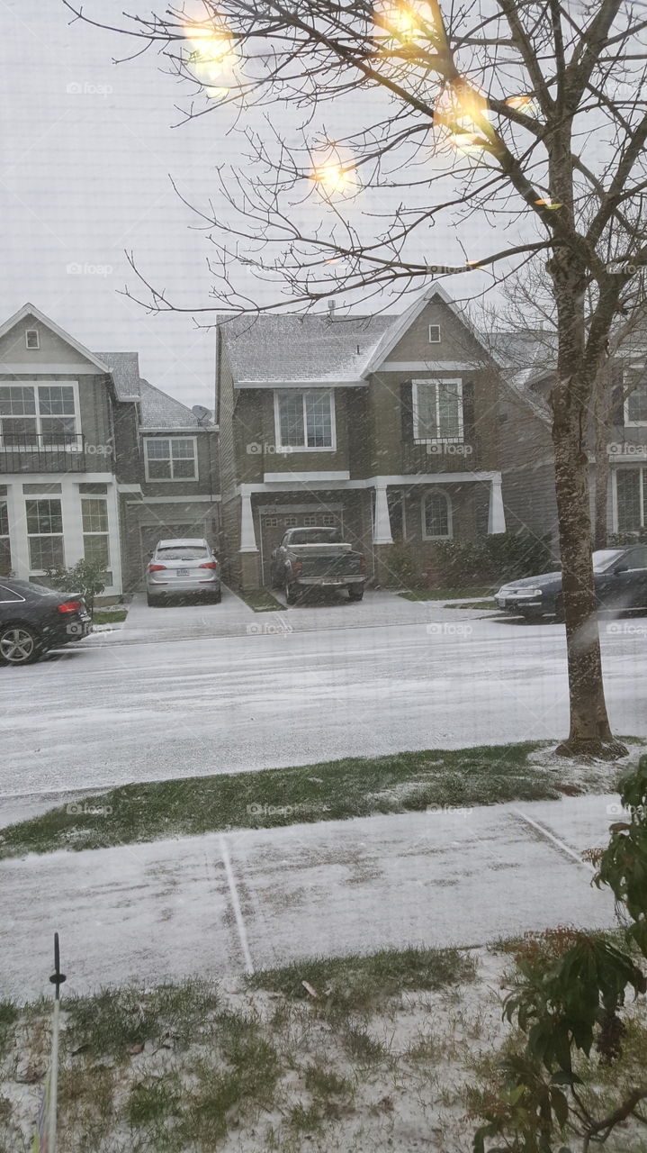 snow in subdivision