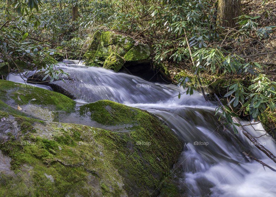 Long exposure of small waterfall, forest and mossy rocks along bear creek trail near Ellijay ga