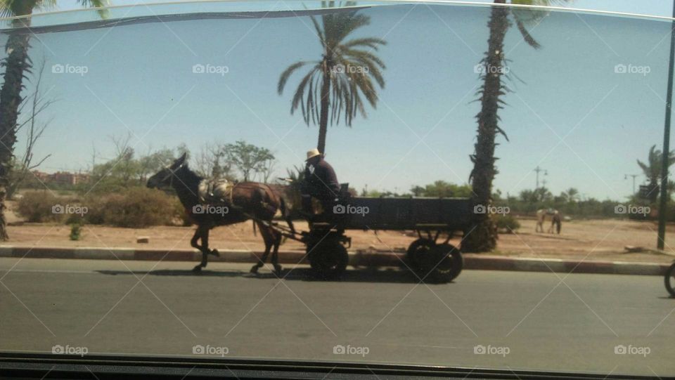 An adult man on horseback at marrakech city in Morocco.