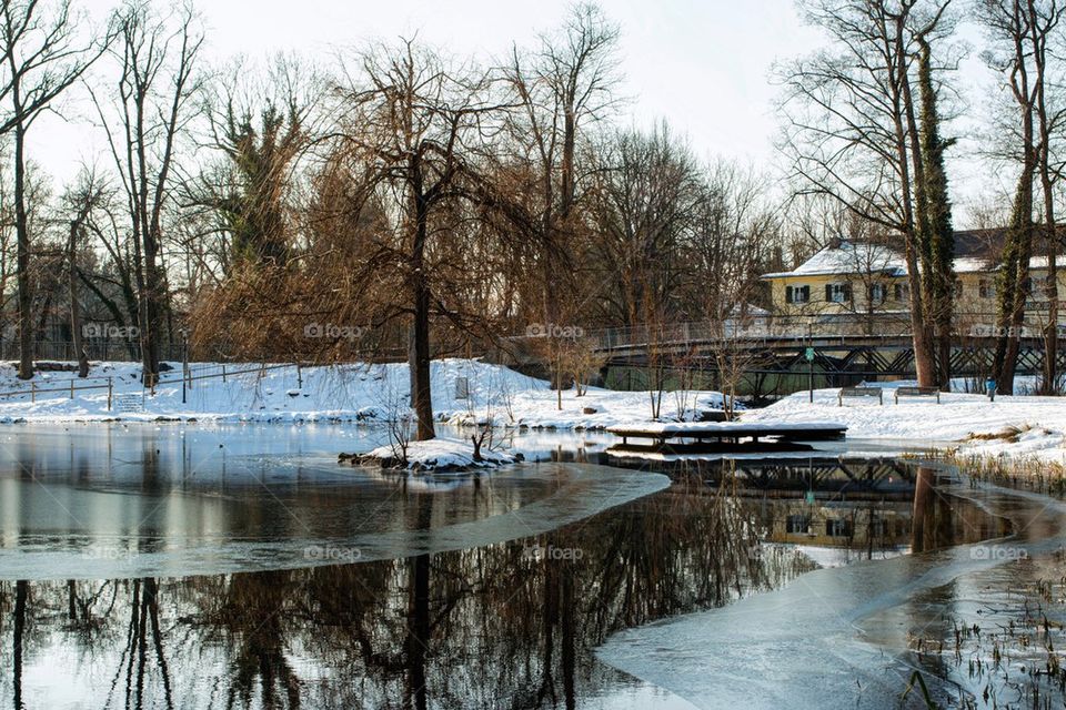 Partially frozen pond 