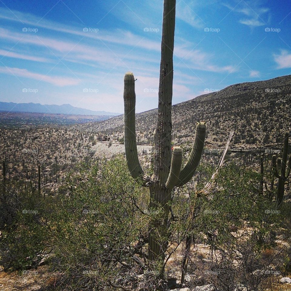 Tucson view