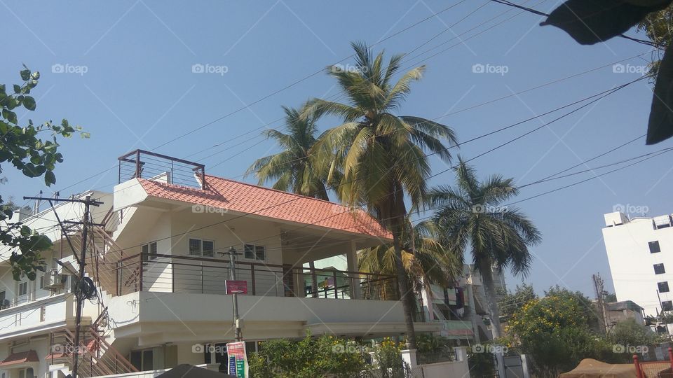 nice and simple home