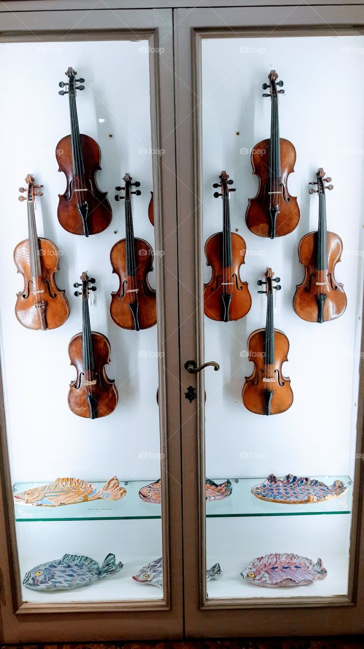 Violin