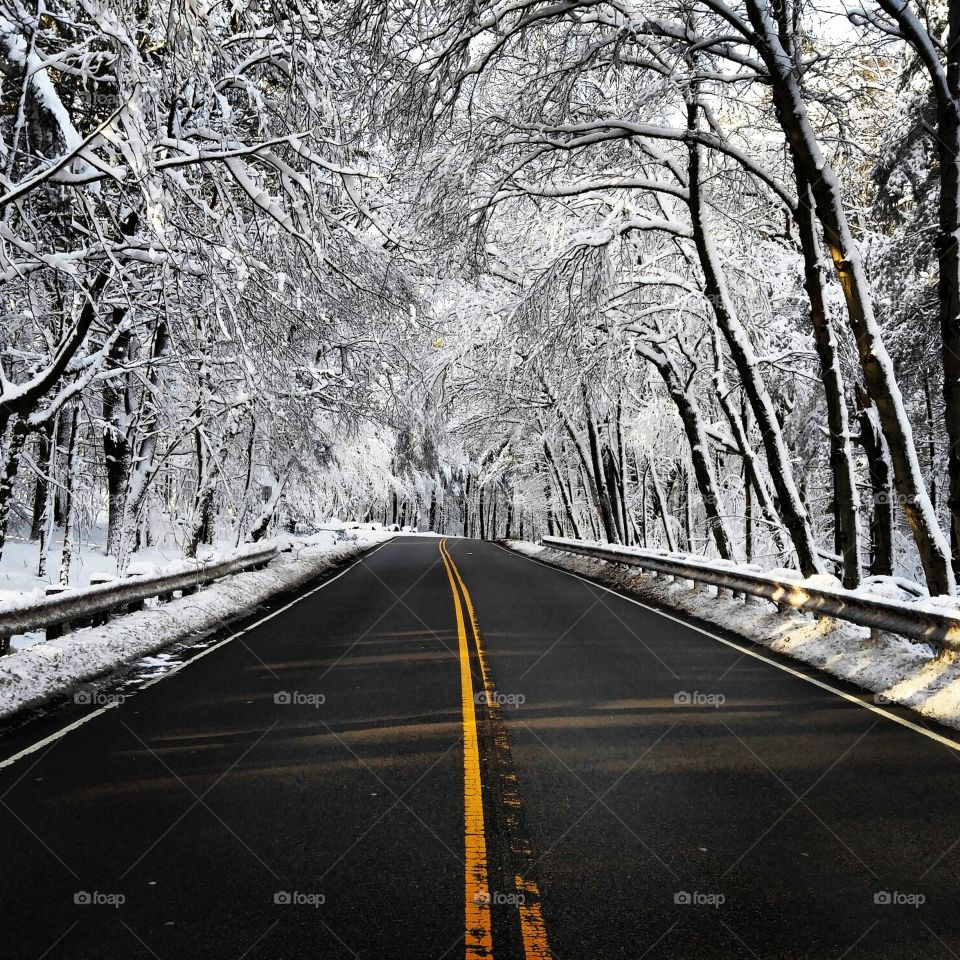 Snowy roads