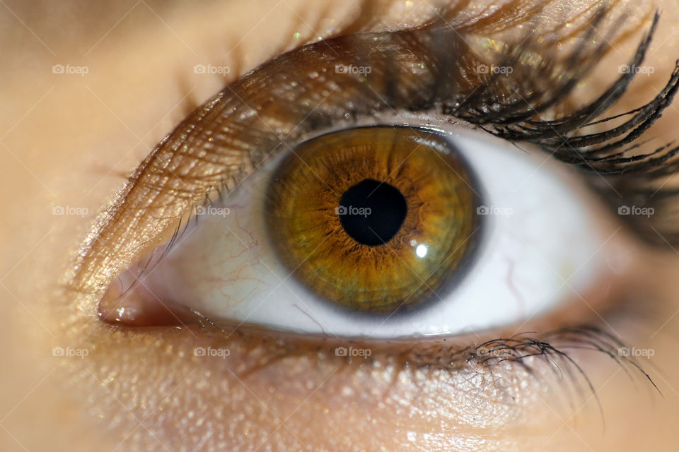 Macro Shot of human eye