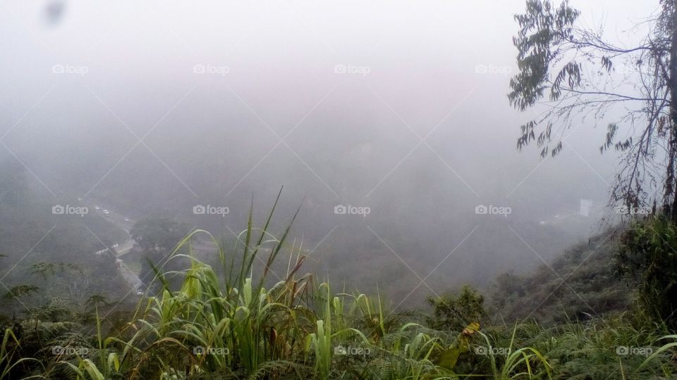 A foggy view