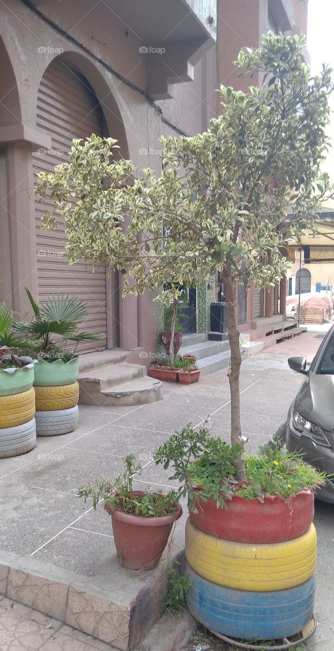 Clean street in beautiful colors