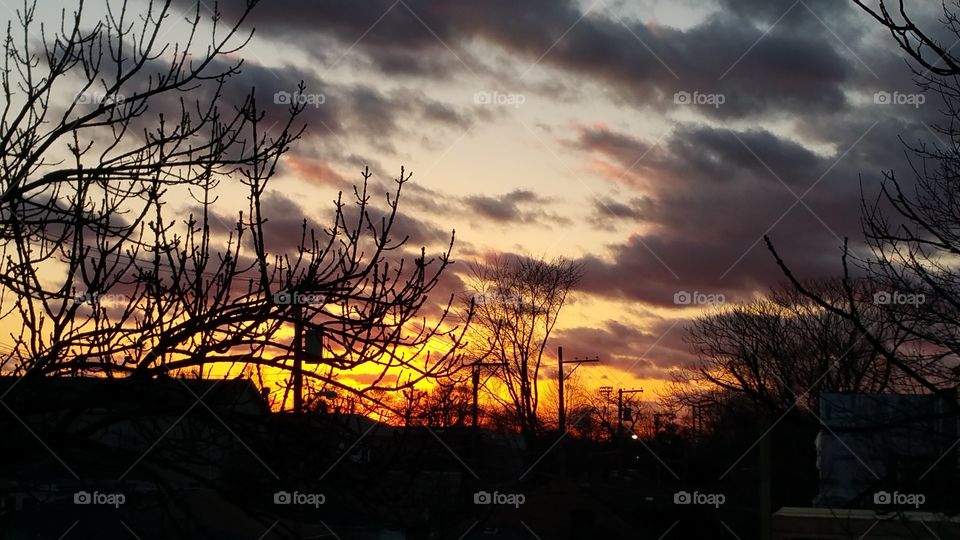 city sky sunset clouds and trees silouette