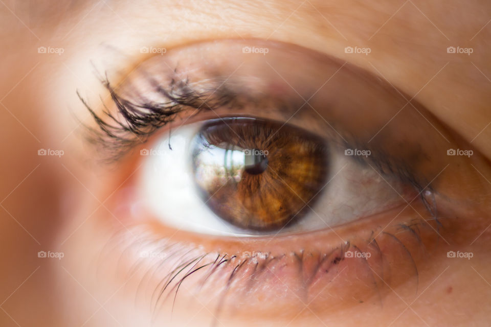 Eye brown