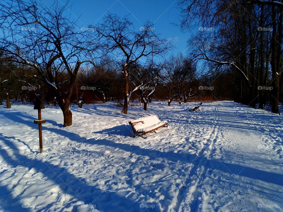 Beautiful snow-covered park