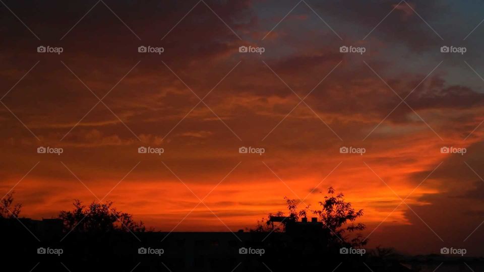 sometimes a mixture of orange and black makes beauty