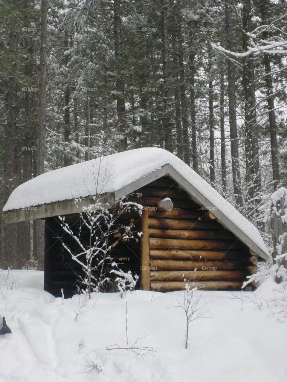 Winter shelter