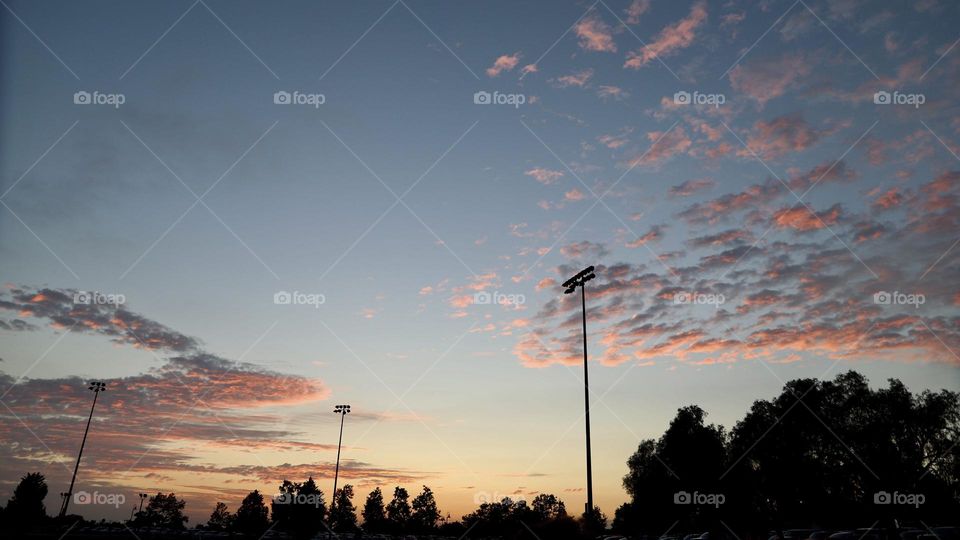 Night sky at the park 