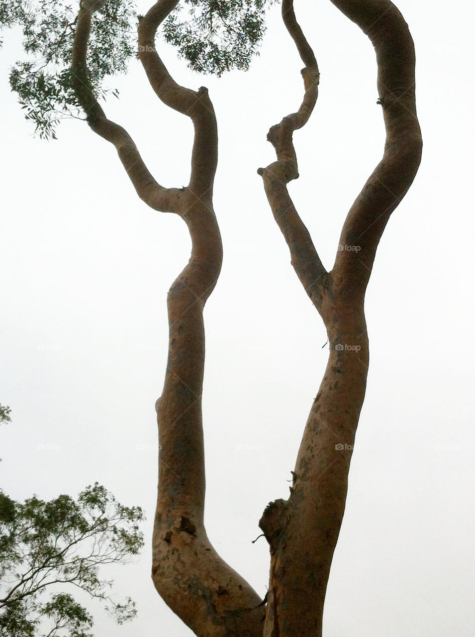 sky nature outdoor gray by king