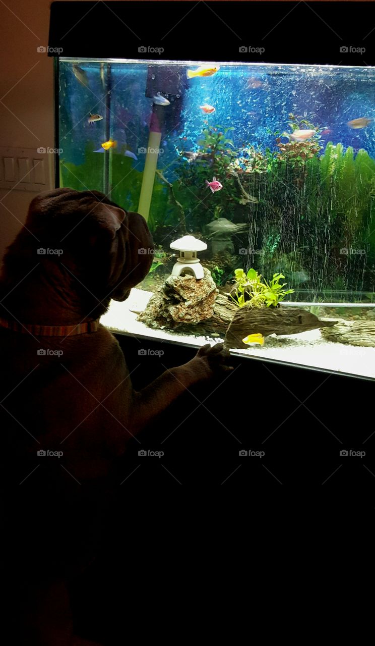 Discovering new friends