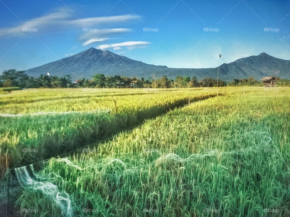 merbabu telomoyo mountain from indonesia