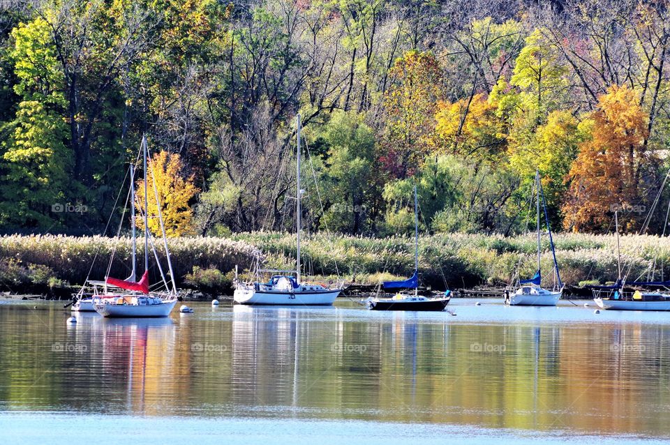 Parked Sailboats