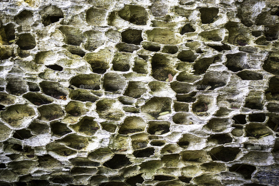 Old weathered wood background