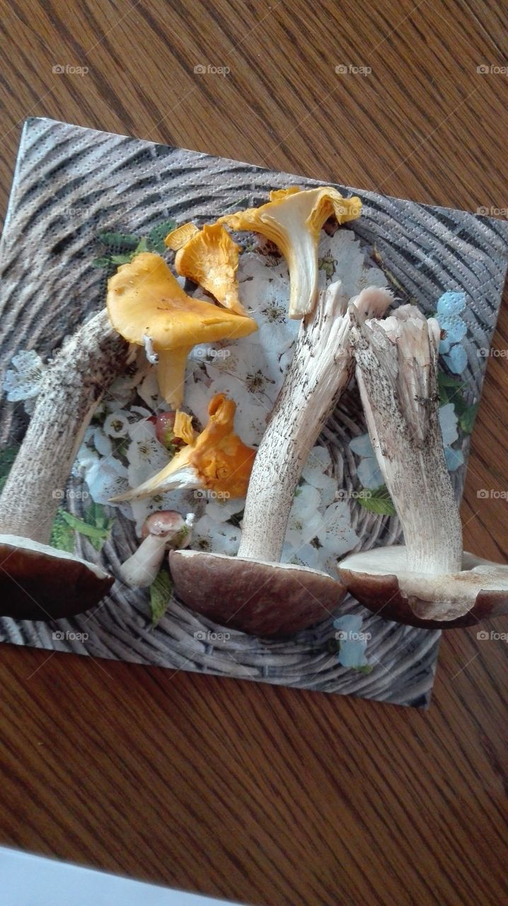 mushrooms. ready to be eaten