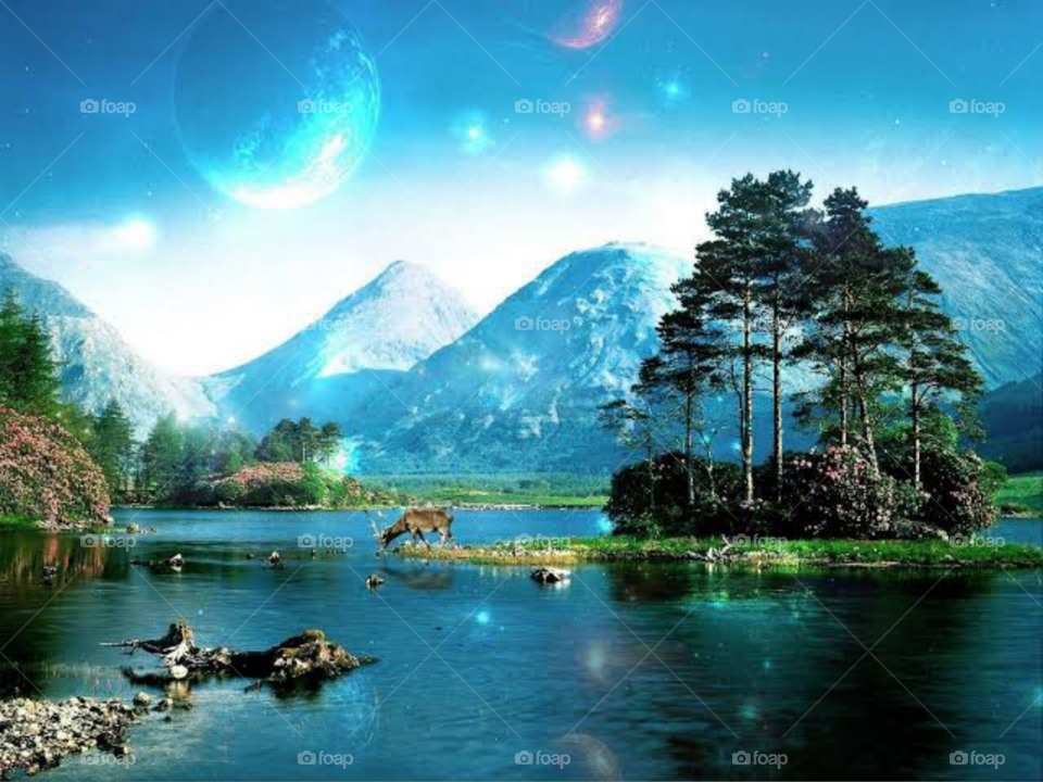 The Beautiful Nature Vibes