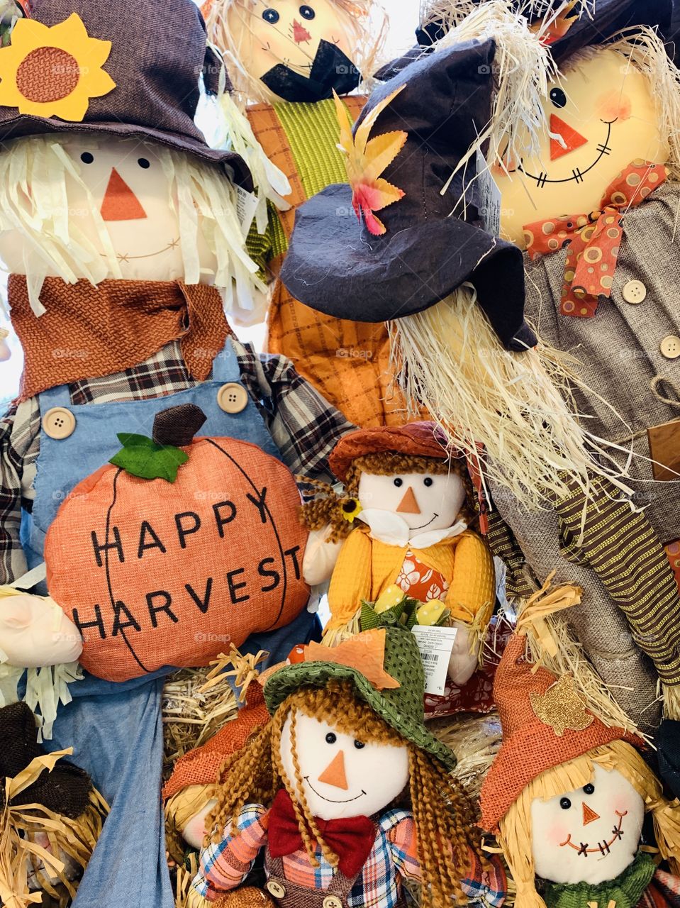 Variety of cute scarecrow dolls in an autumn harvest display with “Happy Harvest” lettered greeting on a pumpkin 