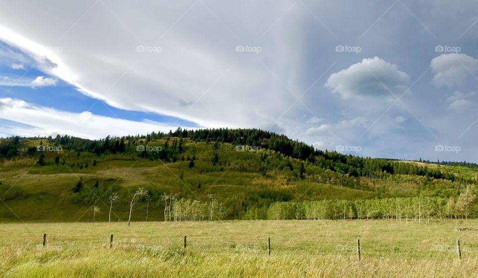 Weather streams in the foothills of the Rocky Mountains in Alberta