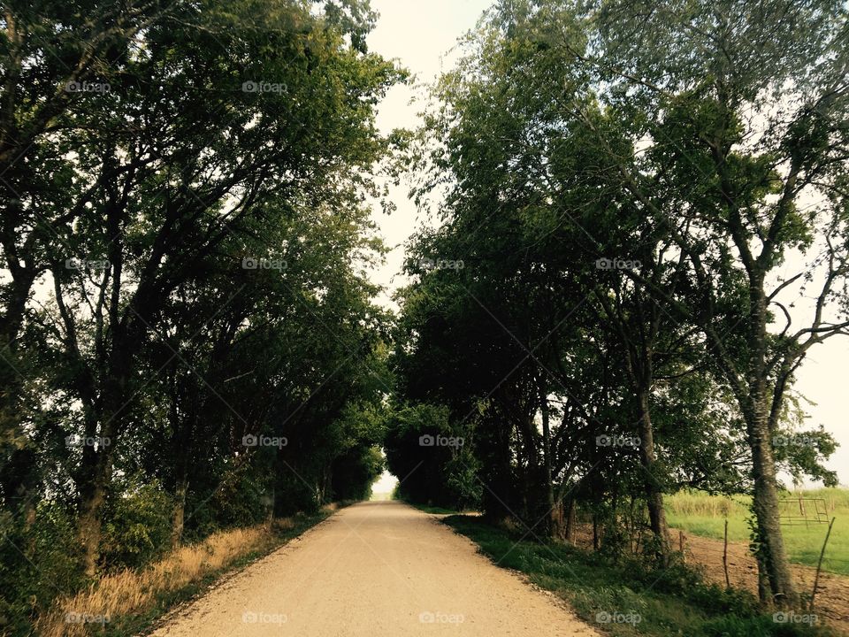 Down the narrow path 