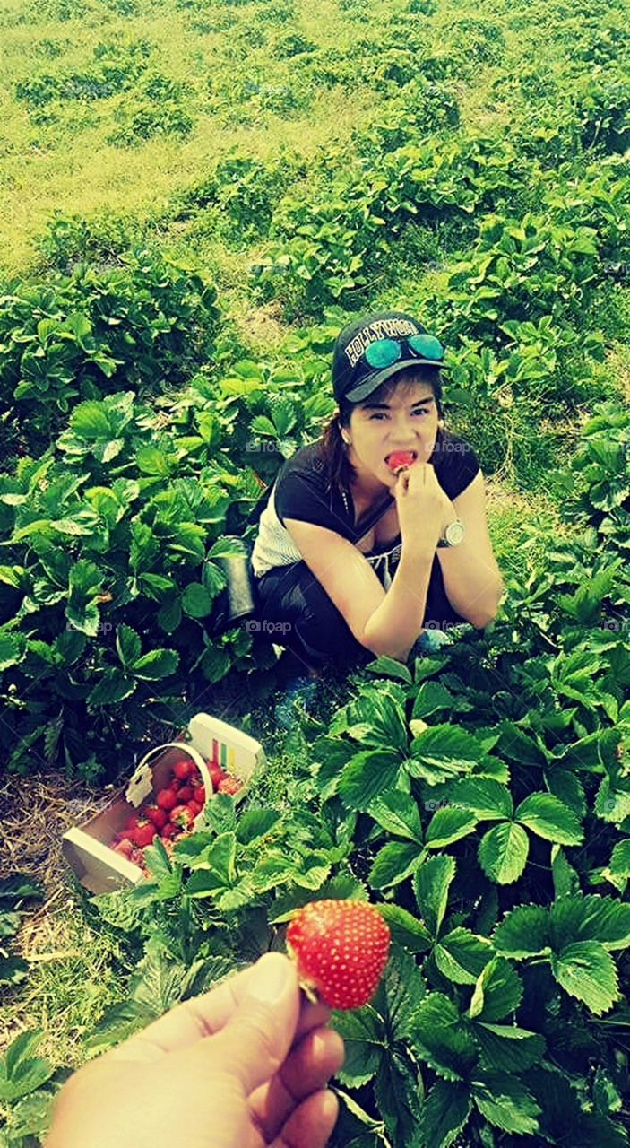 Eating Strawberry at the Farm.