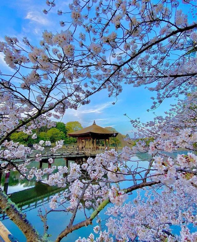welcome spring