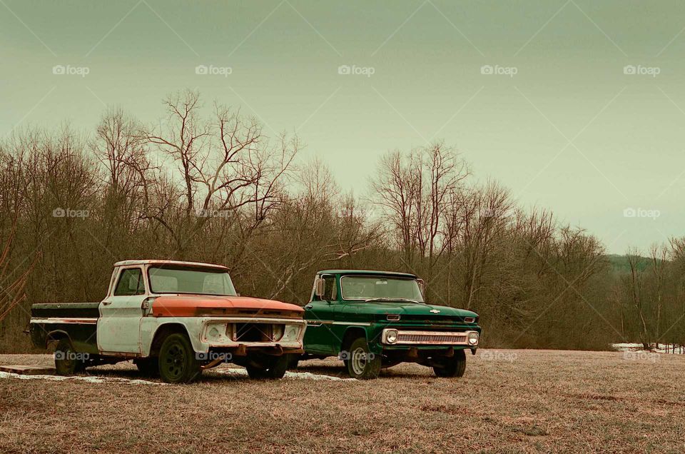 Take the Nostalgic Way Home (Series)