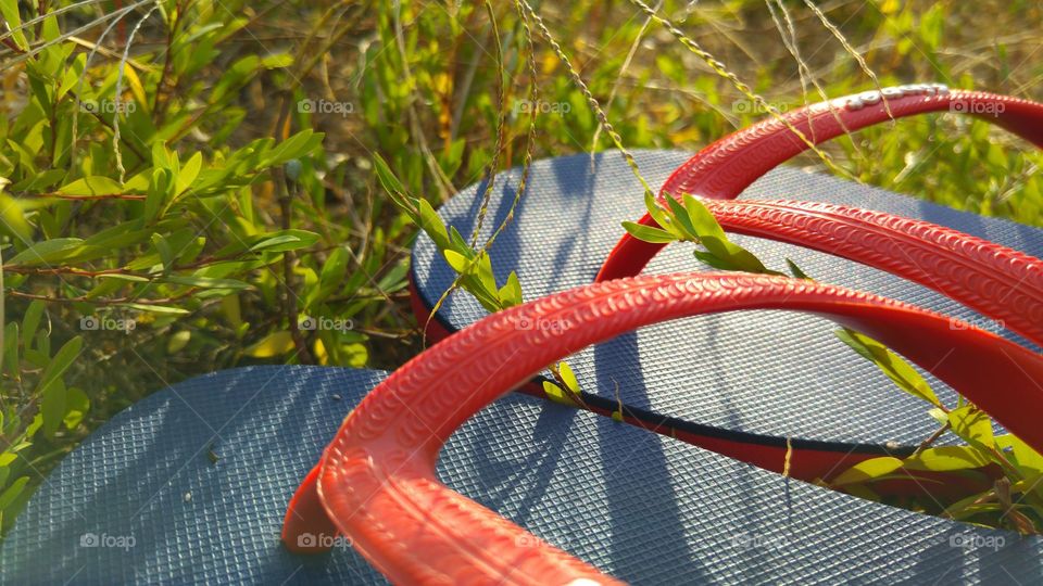 lost and found. found my abandoned flipflops