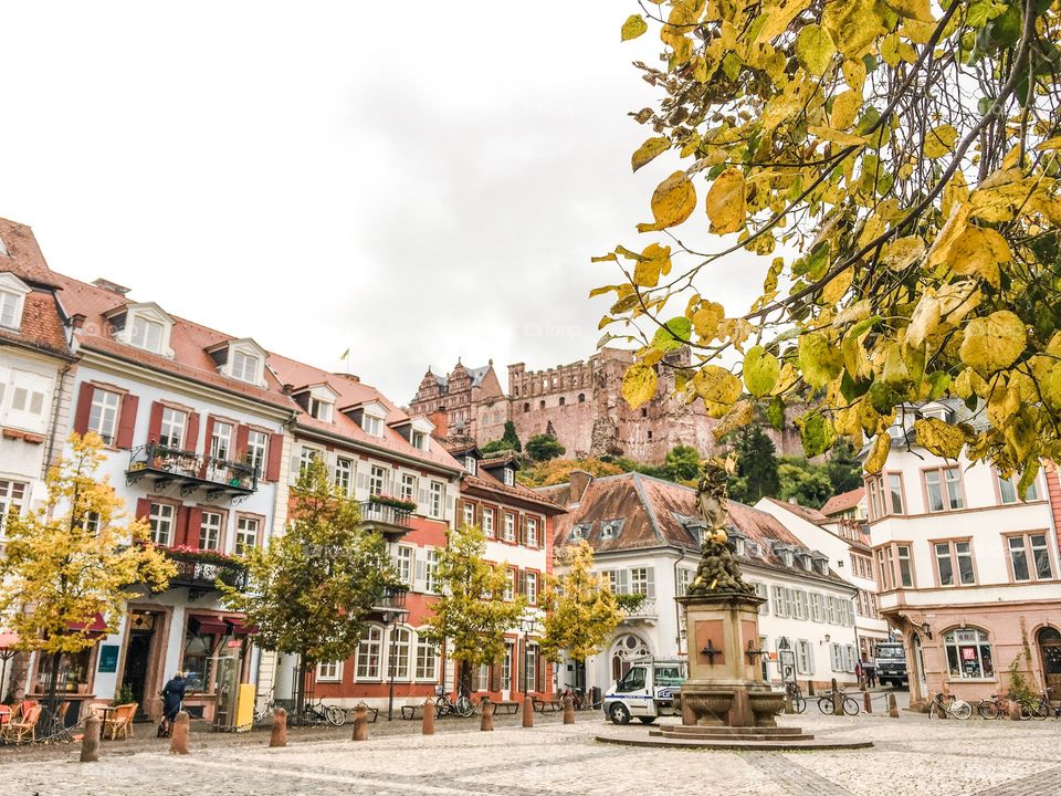 castle and pretty square heidelberg altstadt