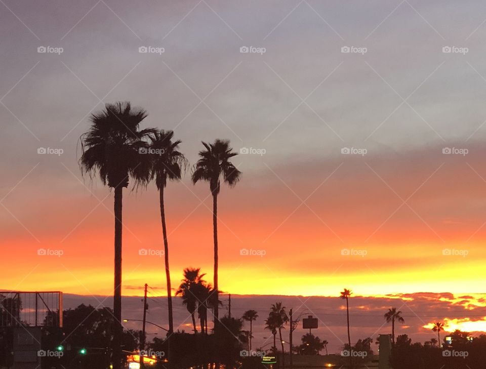 Sunset in Arizona. No filter needed. Desert love.
