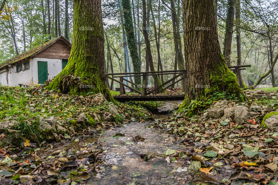 Small wooden bridge