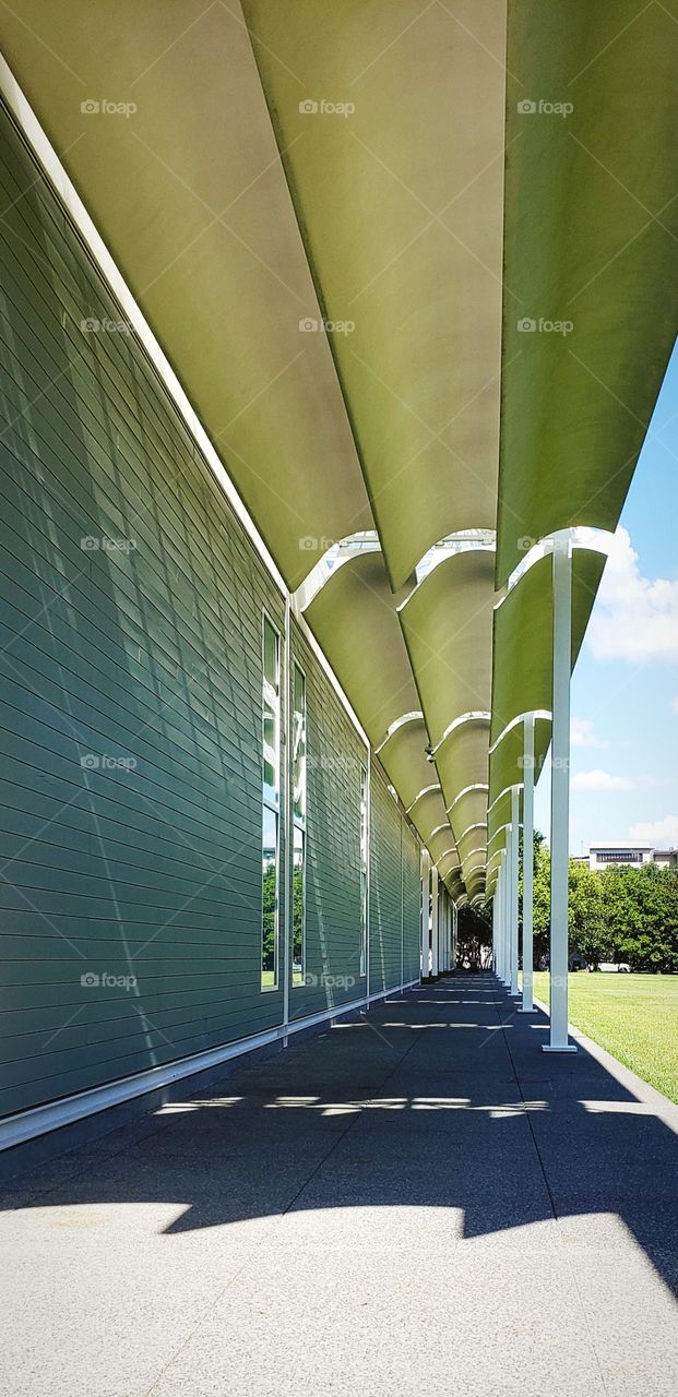 Shadows down the Hallway