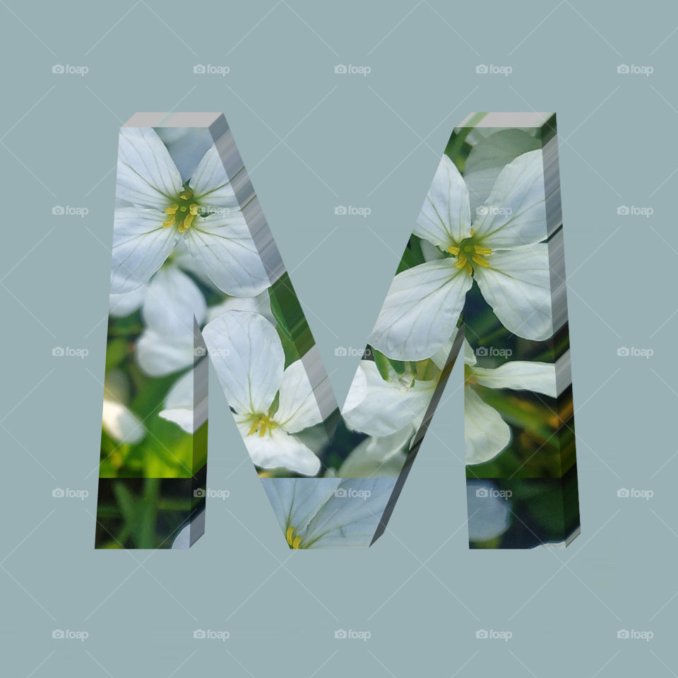 M alphabet 3d rendering of vertical white flowers alphabet