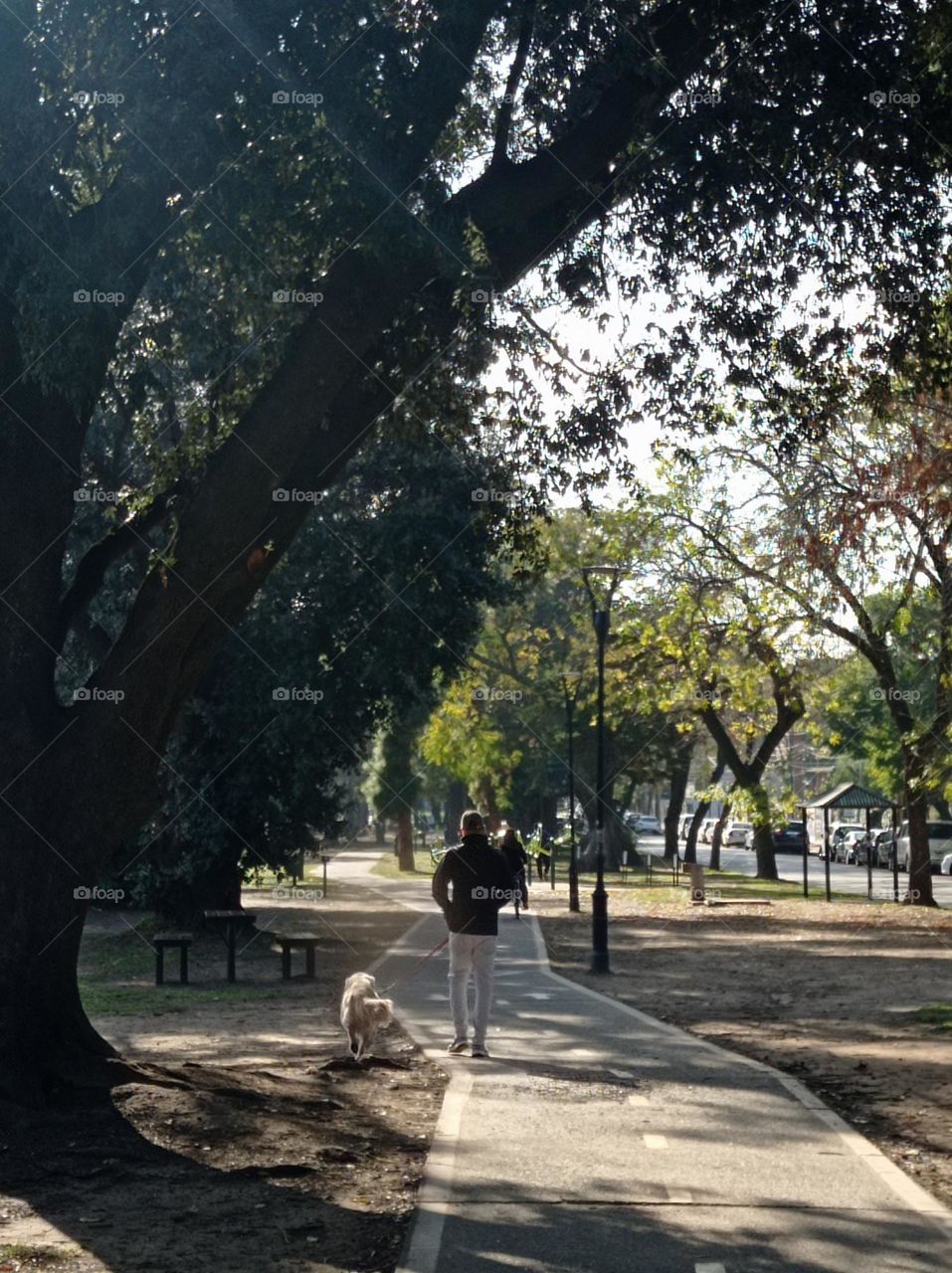 dog and friend go for a walk / perro y  su amigo salen a caminar