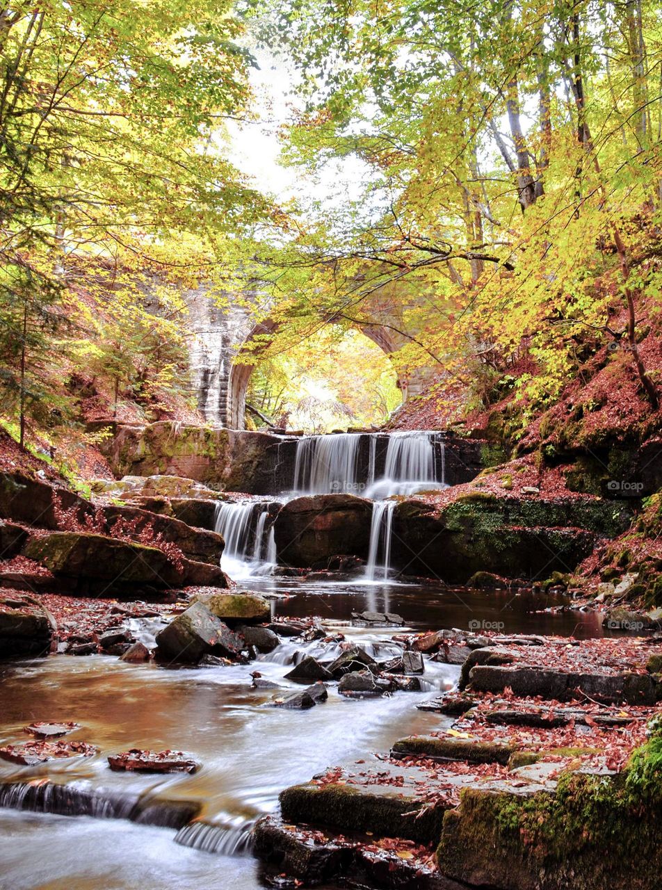 Autumn Landscape