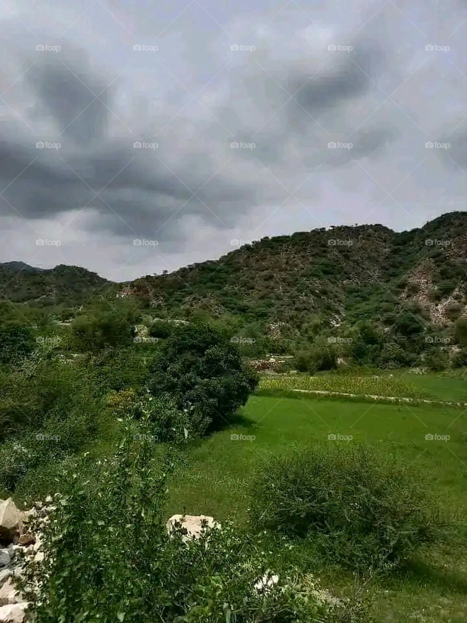 Glory be to God, the magnificent and picturesque view and the natural green trees are a view that is nothing more wonderful than it