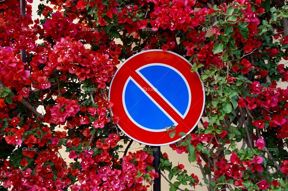 No parking sign