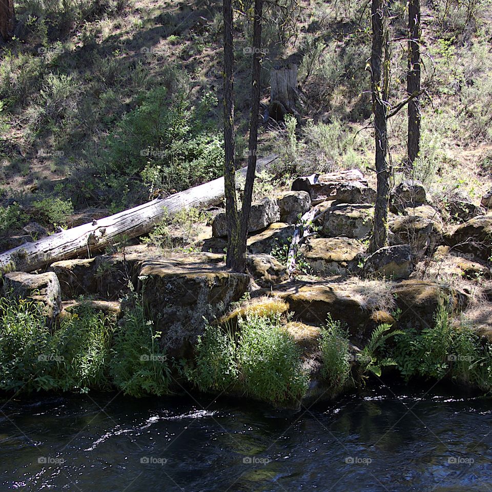 The incredible waters of Central Oregon’s Metolius River flowing along its banks of boulders, bushes, and trees on a bright sunny summer afternoon. 