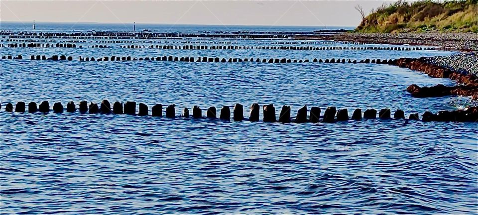 These wooden pilings in the “Baltic Sea” at the “Strelasund” surrounding the island “Rügen” in “Mecklenburg - Western Pomerania” indicate that there were peers here once reaching into the ocean. 2024. Hypnotic Productions