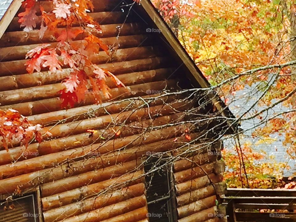 Fall cabin 