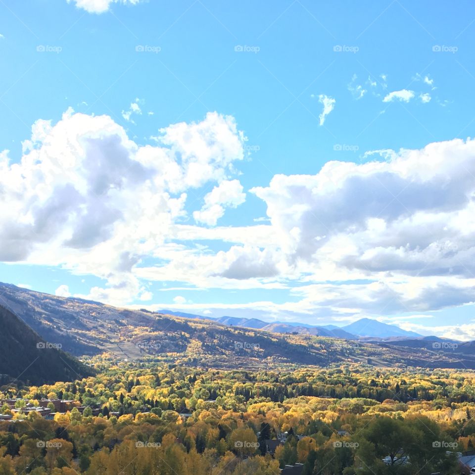 Fall in Aspen