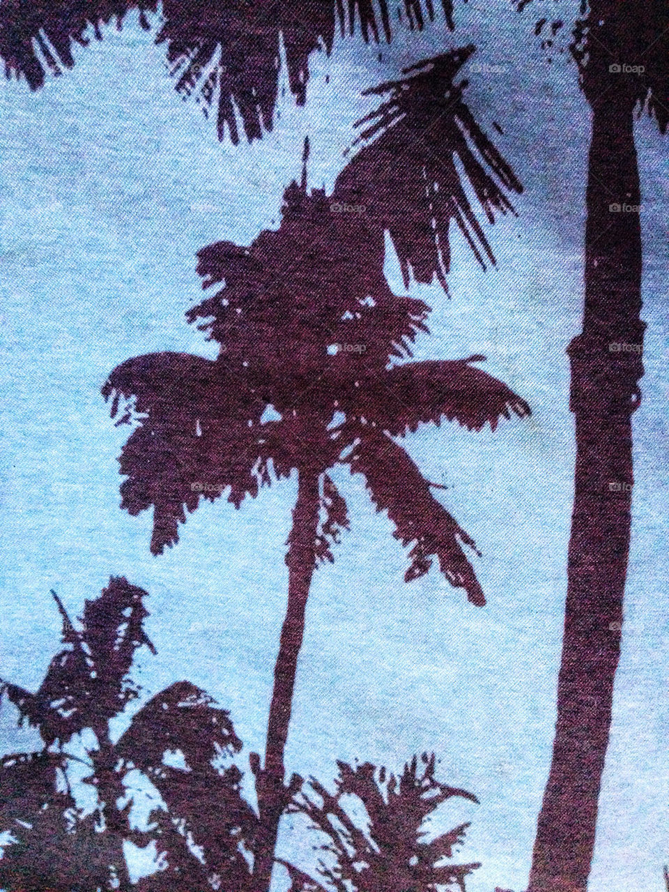 Palm trees swaying in a tropical storm